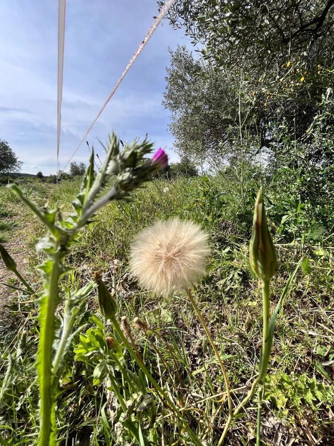 La Romantica Congenies Esterno foto